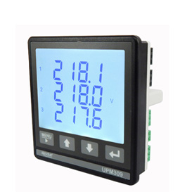 UPM309